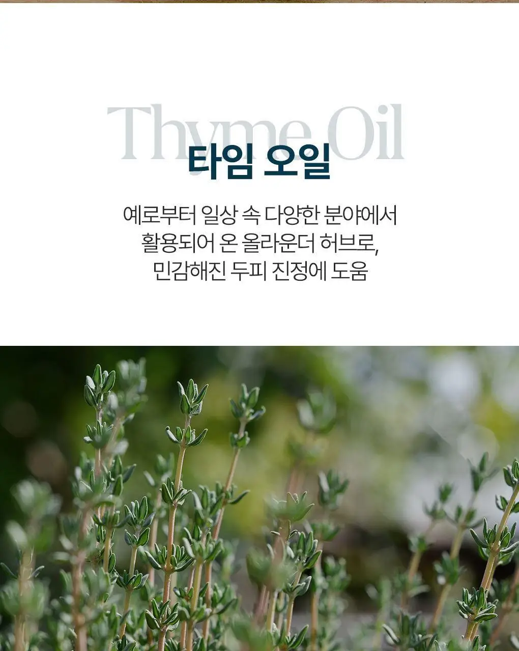 [탄력뿌리볼륨샴푸]라우쉬 윌로우바크 트리트먼트 샴푸 200ml 상세페이지 16